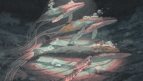 Three iridescent humpback whales swim diagonally toward a powerful surface spotlight above a rocky seabed with glowing orange fissures in dark waters. 
The image depicts their graceful ascent through deep ocean with visible bubbles emphasizing motion and contrast.